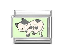 Loozykit Italian Charms Pet Photos Italian Charm Bracelet Charms silver 9mm Splicable italian bracelets for women's italan style charms stainless steel charm DIY Gift(Cows cats sleep)