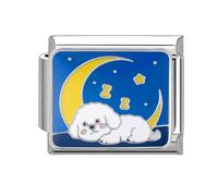 Loozykit Italian Charms Pet Series Italian bracelet charms silver 9mm adjustable italian charm bracelet accessories stainless steel charms Personality (White moon Dog)