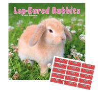 Lop Eared Rabbit Calendar 2026 | Square Wall Calendar | 16 Months | September 2025 to December 2026 | with FREE Organisational Stickers