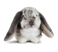 Living Nature Grey Dutch Lop Eared Rabbit Stuffed Animal Plush Toy | Fluffy Soft Toy Gift for Kids | Boys and Girls Doll | Naturli Eco-Friendly | 26 cm