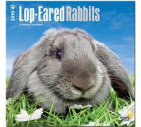 Lop-Eared Rabbits 2015 Wall