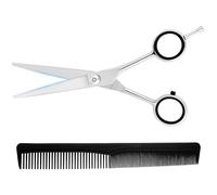 LOPHE Hairdressing Scissors,6" Professional 4CR13 Stainless Steel Hair Cutting Shears with Comb Set,Super Sharp Hair Texturizing Scissors for Salon Barbers, Men, Women, Children and Adults