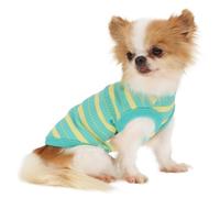 LOPHIPETS 100% Cotton Rib Dog Shirt Vest for Small Dogs Chihuahua Puppy Clothes Tank Tee-Green/M