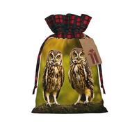Loppott Cute Brown Cartoon Owls Print Christmas Gift Bag,Reusable Christmas Bags Forholiday Party Favor Supplies Gifts