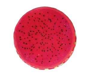 LOPUNER Fruit Seat Cushion Made of Comfortable Polyester with Cute Gel Padding, Easy to Use Adorable Chair Cushion for Office or Playing Room