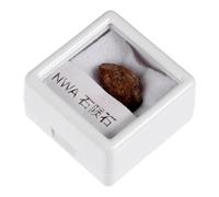 LOPUNER Irregular Meteorite Specimen Stone for Teaching and Decoration Charming Olive Meteorite Rock for Science Education and Gifting Well Crafted and Unique for Your House Random Color