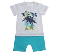 Lora Dora Baby Boys Bodysuit Romper Shorts and T Shirt Grey Surf-o-Saurus Newborn