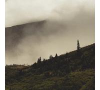 Lord Buffalo - Tohu Wa Bohu [VINYL]