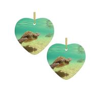 Lord Howe Island Sea Turtle Christmas Tree Ceramic Hanging Bauble Personalised Xmas Baubles Cute Christmas Ornaments Gifts For Kids Family Friends