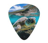 Lord Howe Island Sea Turtle Print Organizer Storage Box Different Thickness Guitar Picks For Acoustic Guitar