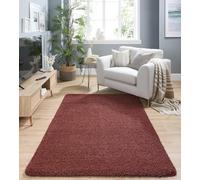 Lord of Rugs Washable Non-Slip Rug Shaggy Rug Floor Mat for Hallways Kitchen Bathroom Living Room Bedside Bedroom Nursery Kids Playroom Soft Plain Carpet Rectangle Rug Rust Small 80x120 cm (2'8"x4')