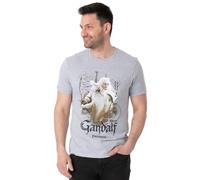 Lord of the Rings Men's Short Sleeved T-Shirt in Grey | Size: Medium Lord of the Rings Grey M