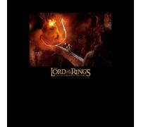 Lord Of The Rings You Shall Not Pass Men's T-Shirt - Black - S