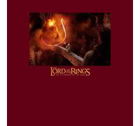 Lord Of The Rings You Shall Not Pass Men's T-Shirt - Burgundy - S - Burgundy