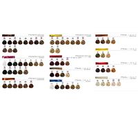 Loreal Dia Light / Richesse-50 ml / L'Oreal Rewelator DIA- 1L