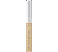 L'Oréal Paris Accord Parfait The One Liquid Concealer 2N Vanille