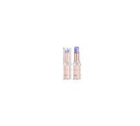 L'Oreal Paris Color Riche Shine Lipstick - Blue Mint Plump