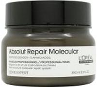 L'Oréal Professionnel Absolut Repair Molecular Rinse-off mask hair mask to restore hair structure 250 ml