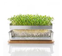 Lornpexia Microgreens Growing Kit - Stackable Stainless Steel Sprouting Tray with Wood Lid, Sprouts Growing Kit for Indoor Gardening in Small Spaces, Kitchen, or Windowsill - No Seeds Included