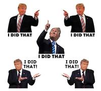 Lororado Biden I Did That Stickers, 100 Pcs, Mixed 3 Different Patterns, 3" Vinyl, Waterproof, Casual, Outdoor, Square, Biden Stickers, Sticker