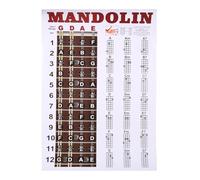 Lorrgasw Mandolin Poster Chart Chord Musical Trainning Instrument Guide Chords Fretboard Fingering Chart