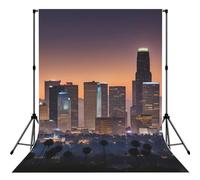 Los Angeles Skyline Professional Photo Backdrop, Background With Rod Pocket For Studio, Newborn & Event Photography - 5x7ft