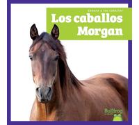 Los Caballos Morgan (Morgan Horses) (Conoce a Los Caballos (Meet the Horses))