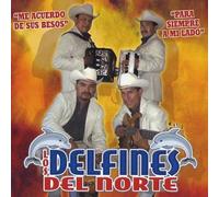 Los Delfines Del Norte - Nacida en Vina de Mar