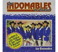 Los Indomables de Cedral - en Que Trabaja El Muchacho