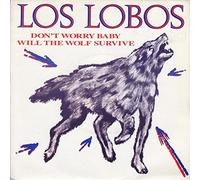 Los Lobos - Don't Worry Baby / Will The Wolf Survive - Los Lobos 7" 45