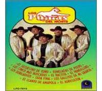 Los Pumas Del Norte - Corridos Paniquiados