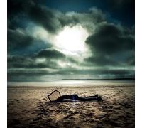 Losers - How To Ruin Other Peoples Futures [VINYL]