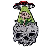 Losing Mind Brain Lost in UFO Patch Embroidered Badge Iron On Sew On Emblem