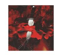 LOSJE 21 Savage & Metro Boomin Album Cover Savage Fashion Canvas Poster Wall Art Decor Print Picture Paintings for Living Room Bedroom Decoration 28x28inch(70x70cm)