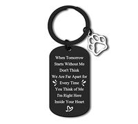 Loss of Pet Keyring Pet Memorial Gifts Keyring Dog Cat Remembrance Gifts Sympathy Gifts for Loss of Pet Cat Dog Pet Lovers Remembrance Gifts Pet Owner Keepsake Keychain Gift In Memory of Pet Gift