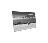 Lost Colours Elephant Canvas Wall Art Picture Print CanvasGeeks Grey W30 inch x H20 inch x D20mm