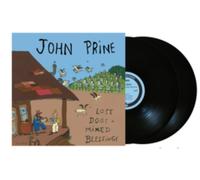 Lost Dogs and Mixed Blessings