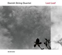 Lost Leaf