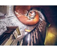 Lost Places - Oak Spiral