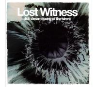 Lost Witness - Did I Dream