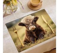 Lot de 4 Sets de Table Cute Animals, Résistant à la Chaleur Coton et Lin Lavables Rectangulaire Set de Table Highland Cattle pour Décoration de Cuisine à Manger Brown
