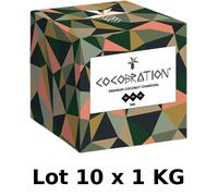 Lot Of 10 X 2.2Lbs Natural Coconut Charcoal - Hookah / BBQ - 90Min Combustion