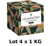 Lot Of 10 X 2.2Lbs Natural Coconut Charcoal - Hookah / BBQ - 90Min Combustion