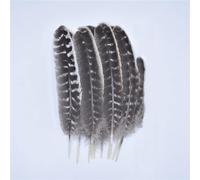 Lot Real Natural Eagle Feathers for Jewelry Making Turkey Pheasant DIY Artificial Decorations 1 10-15cm [5 25-30cm]