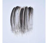 Lot Real Natural Eagle Feathers for Jewelry Making Turkey Pheasant DIY Artificial Decorations 1 10-15cm [8 20-25cm]