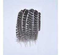 Lot Real Natural Eagle Feathers for Jewelry Making Turkey Pheasant DIY Artificial Decorations 1 10-15cm [4 20-25cm]