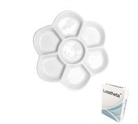 Lotatheta 3.4" Diameter Flower Paint Palette Glazed Watercolor Painting Mixing Ceramic Palette
