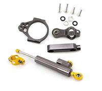 LOTFI Fit For Kawasaki VERSYS 650 2015 2016 2017 2018 2019 2020Fiber Carbon Steering Damper Stabilizer Safety Control Bracket Mounting Kit (Size : Damper n Bracket G)