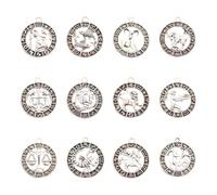 LOTIKOU Twelve Constellations Charms, 0.82'' Alloy Constellations Pendants, Aries Charms, Gemini Pendants, Alloy Leo Accessories for DIY Jewelry Making - 24 Pcs