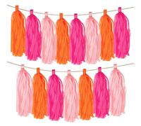 Lotnery 15 Pack Vibrant Paper Tassel Garland Banner | Rose Red, Blush Pink & Tangerine Fringe Party Decorations for Weddings, Baby Showers & Festive DIY Backdrops
